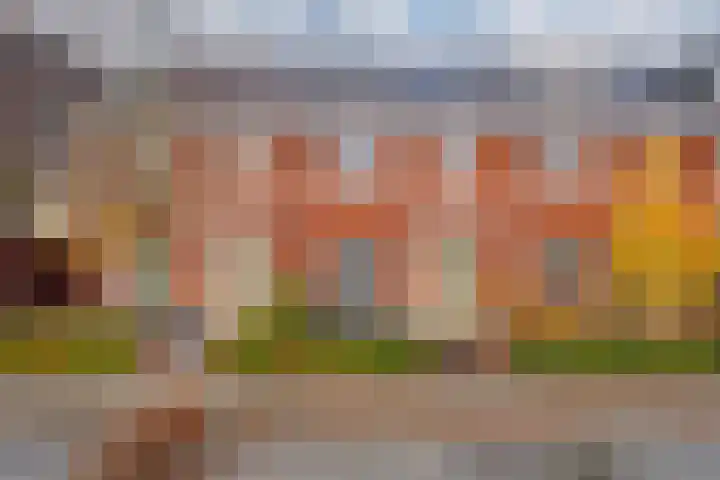 Vissen 15 Elst thumbnail 7