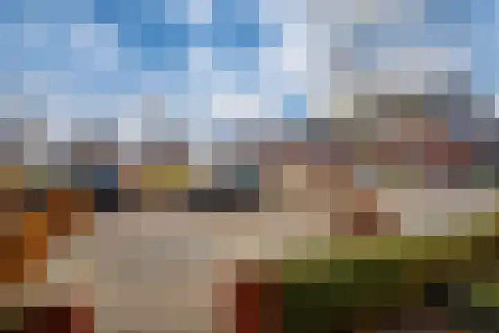 Vissen 15 Elst thumbnail 9