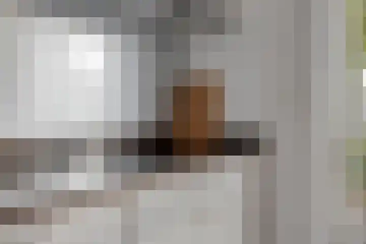 Vissen 21 Elst thumbnail 11