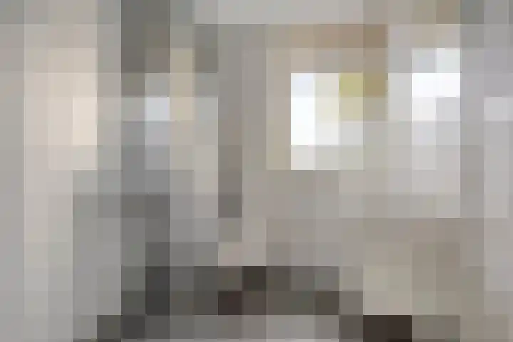 Vissen 21 Elst thumbnail 16