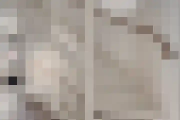 Vissen 21 Elst thumbnail 20