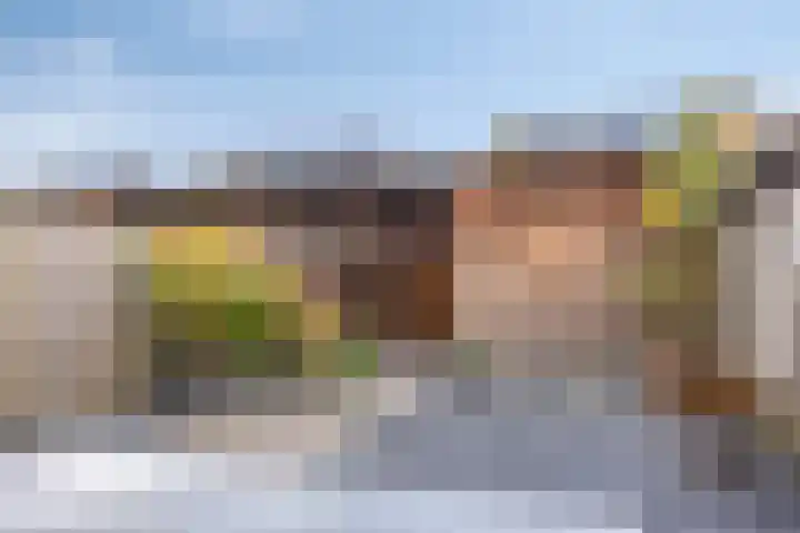 Vissen 21 Elst thumbnail 25