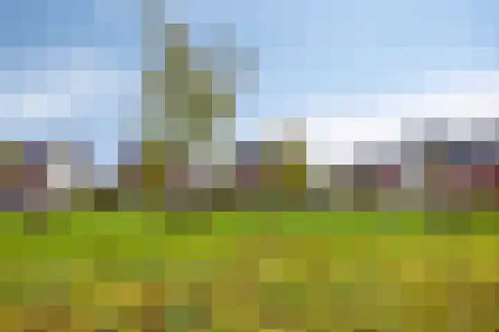 Vissen 21 Elst thumbnail 29