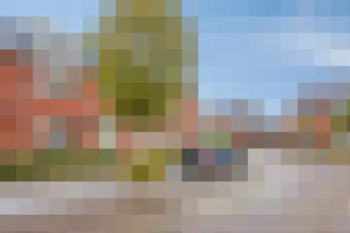 Vissen 21 Elst thumbnail 5
