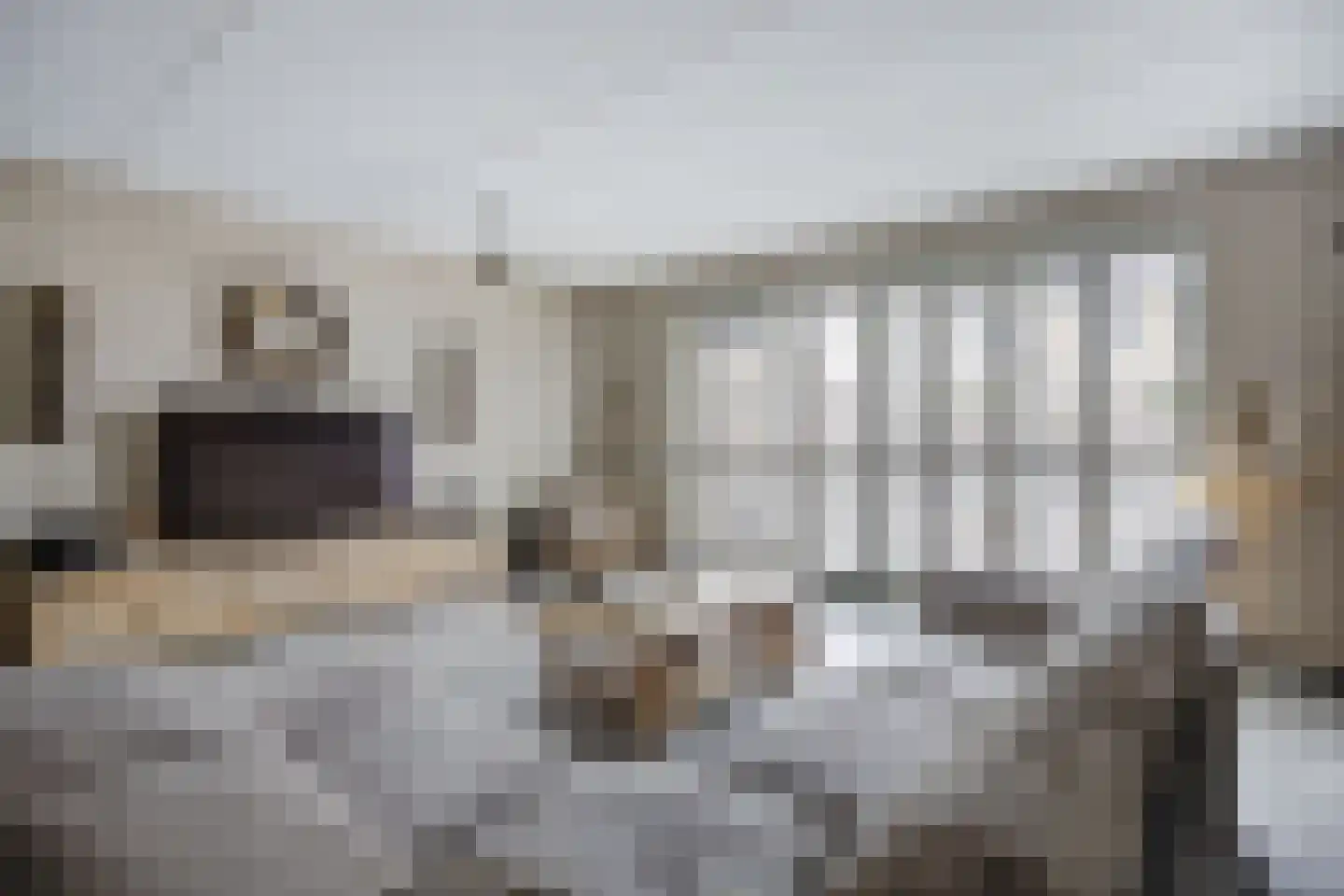 Vissenberg 12 A Sprundel thumbnail 11