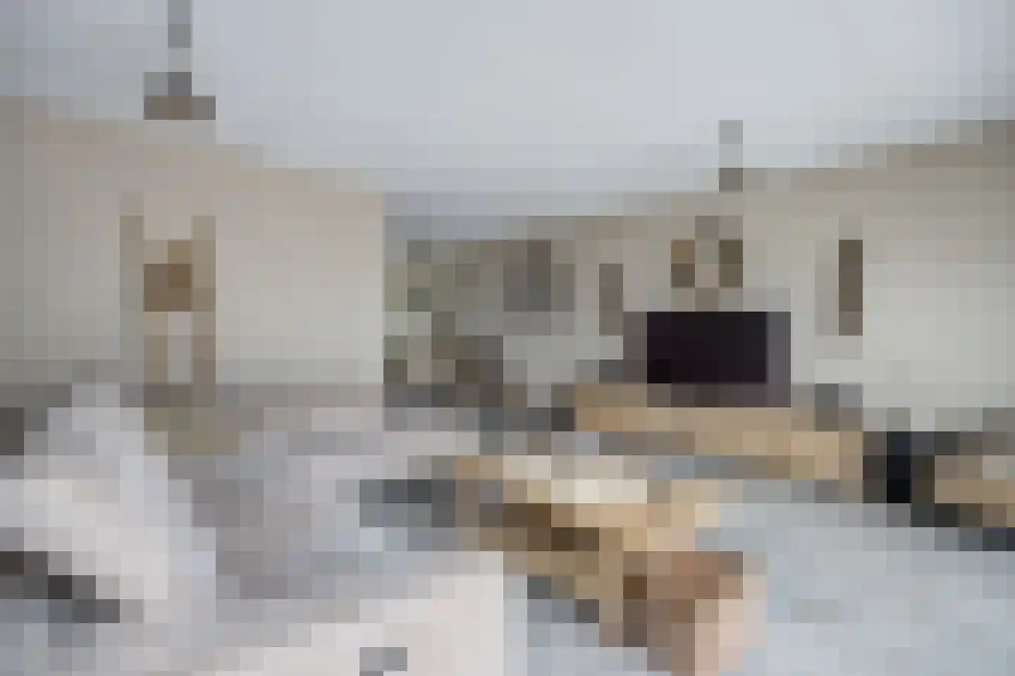 Vissenberg 12 A Sprundel thumbnail 12