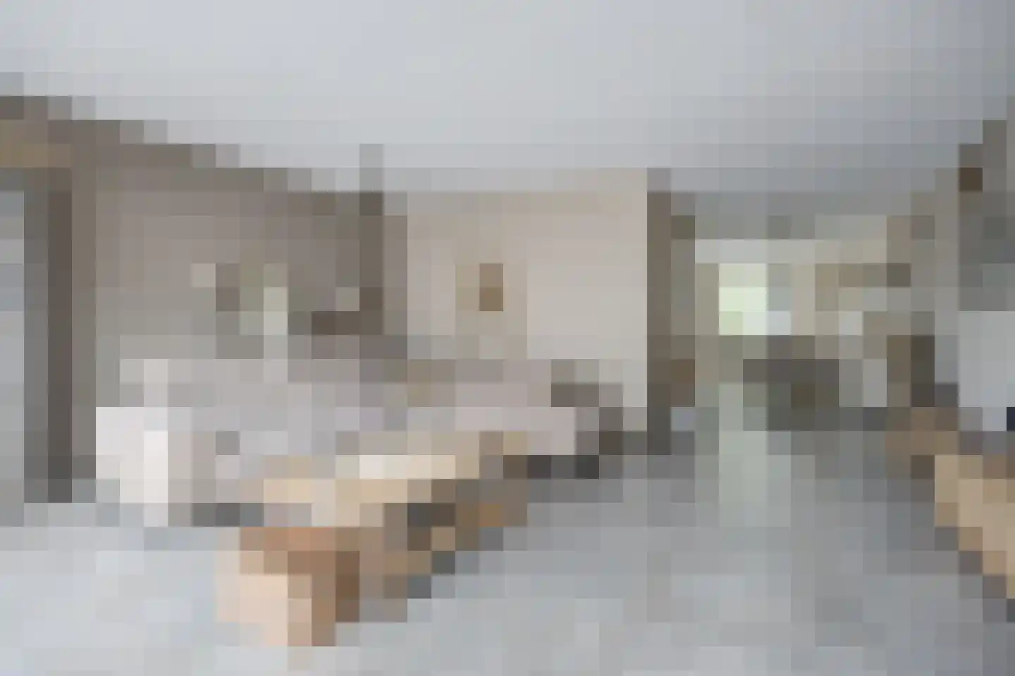 Vissenberg 12 A Sprundel thumbnail 13