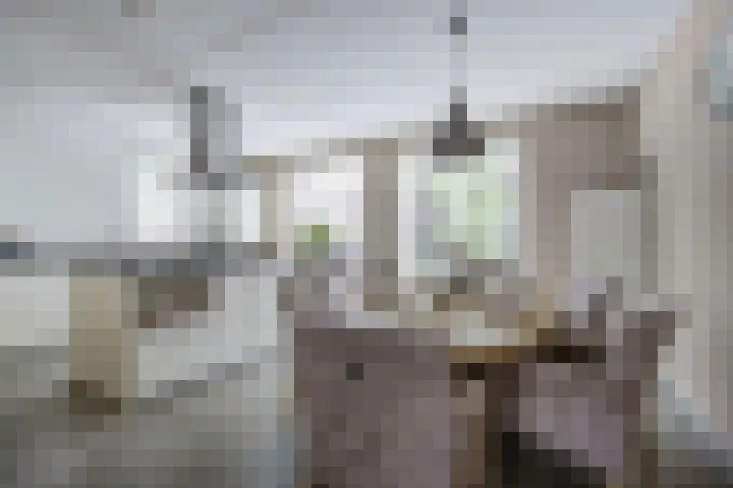 Vissenberg 12 A Sprundel thumbnail 15