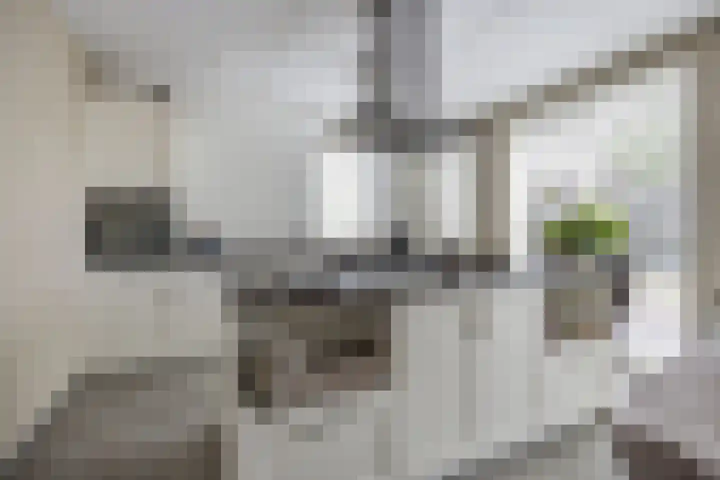 Vissenberg 12 A Sprundel thumbnail 16