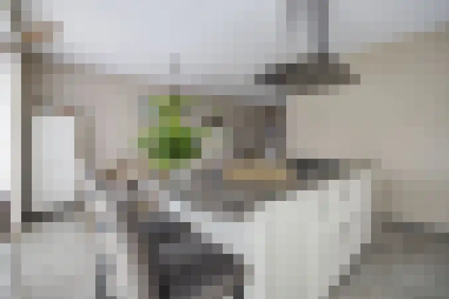 Vissenberg 12 A Sprundel thumbnail 18
