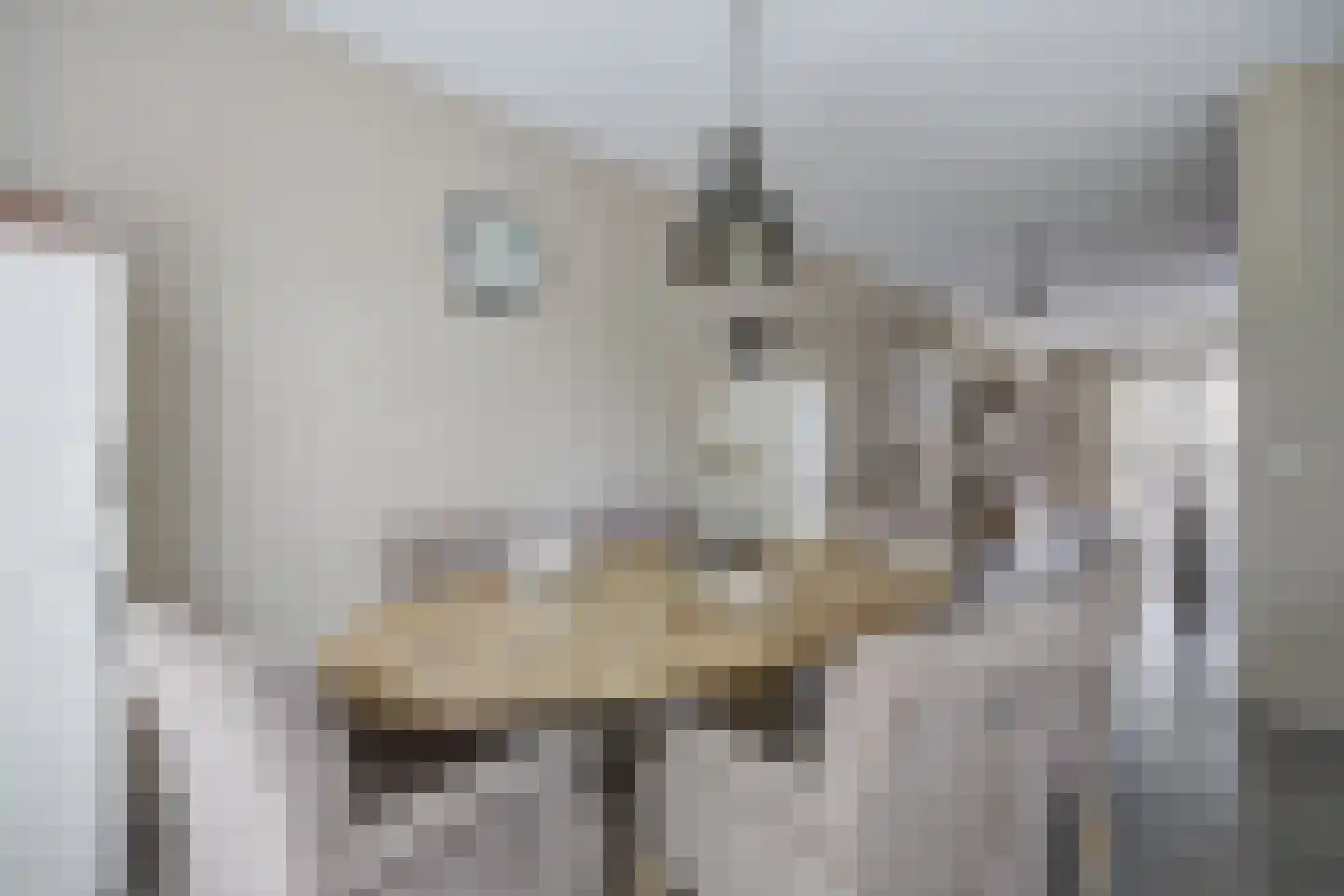 Vissenberg 12 A Sprundel thumbnail 20