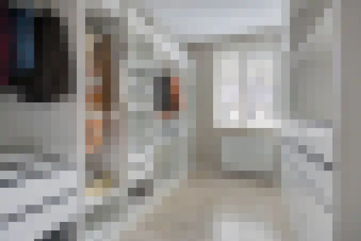 Vissenberg 12 A Sprundel thumbnail 28