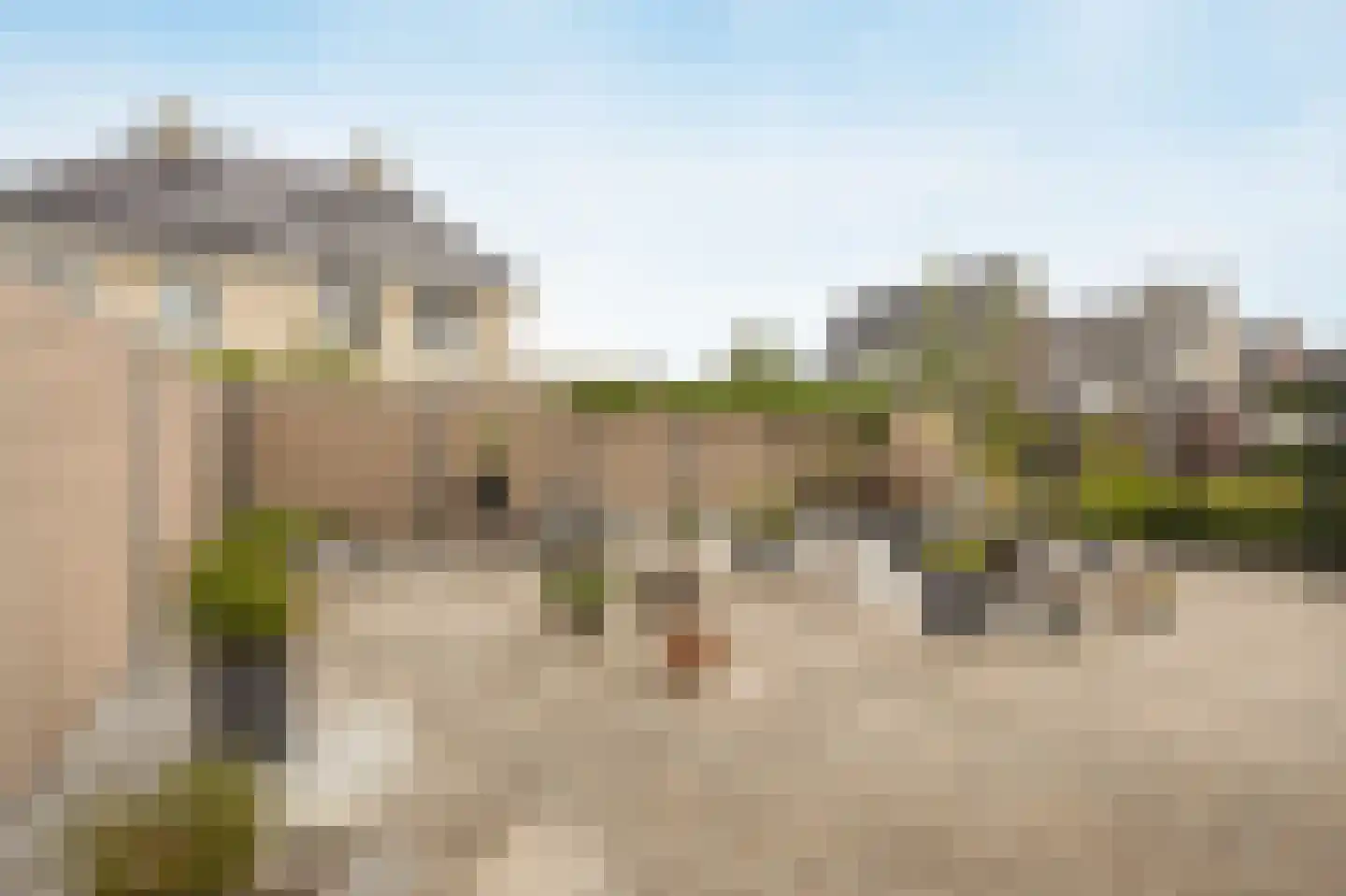 Vissenberg 12 A Sprundel thumbnail 38
