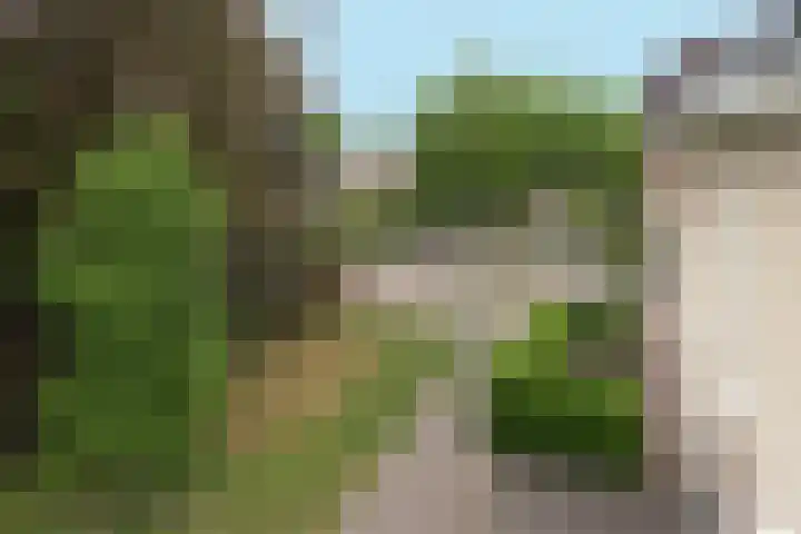 Vissenberg 12 B Sprundel thumbnail 10