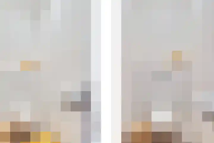 Vissenberg 12 B Sprundel thumbnail 15