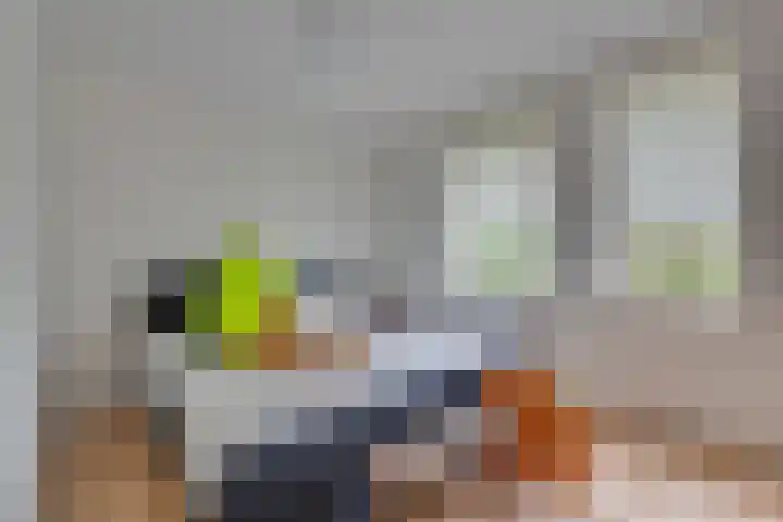 Vissenberg 12 B Sprundel thumbnail 28