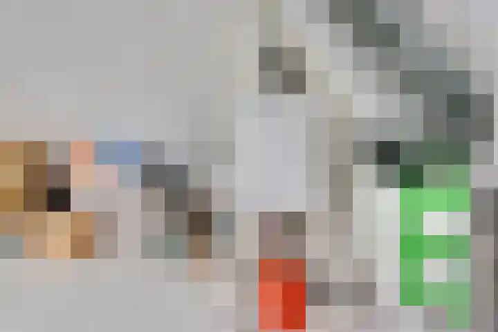 Vissenberg 12 B Sprundel thumbnail 50