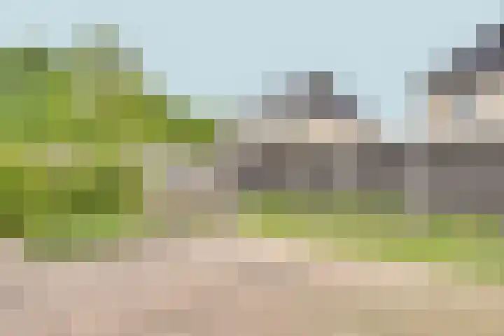 Vissenberg 12 B Sprundel thumbnail 53