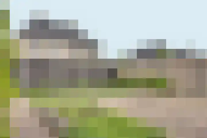 Vissenberg 12 B Sprundel thumbnail 54
