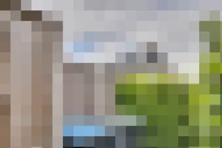 Vissenberg 12 B Sprundel thumbnail 60