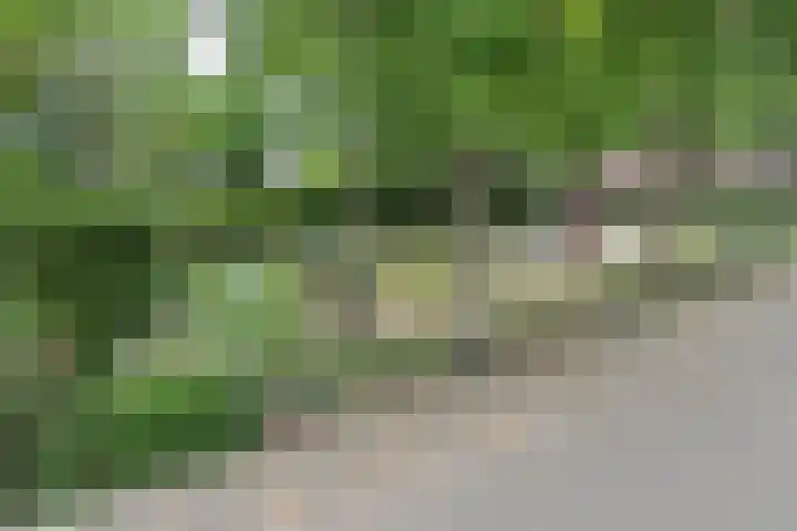 Vissenberg 12 B Sprundel thumbnail 69