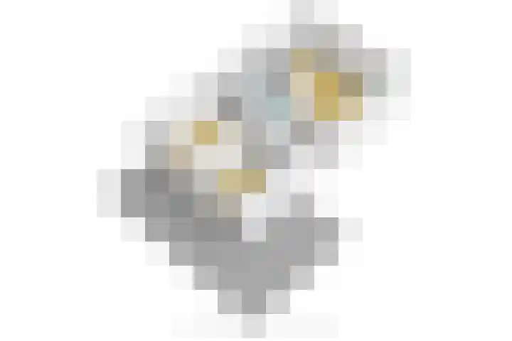 Vissenberg 12 B Sprundel thumbnail 77