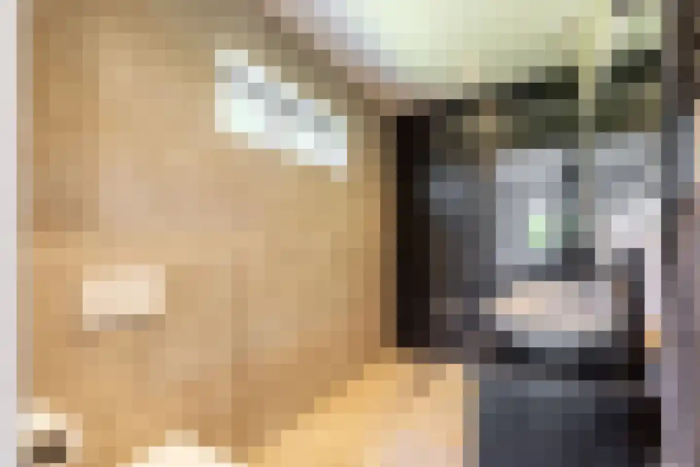 Vissenbergdreef 7 A Sprundel thumbnail 14