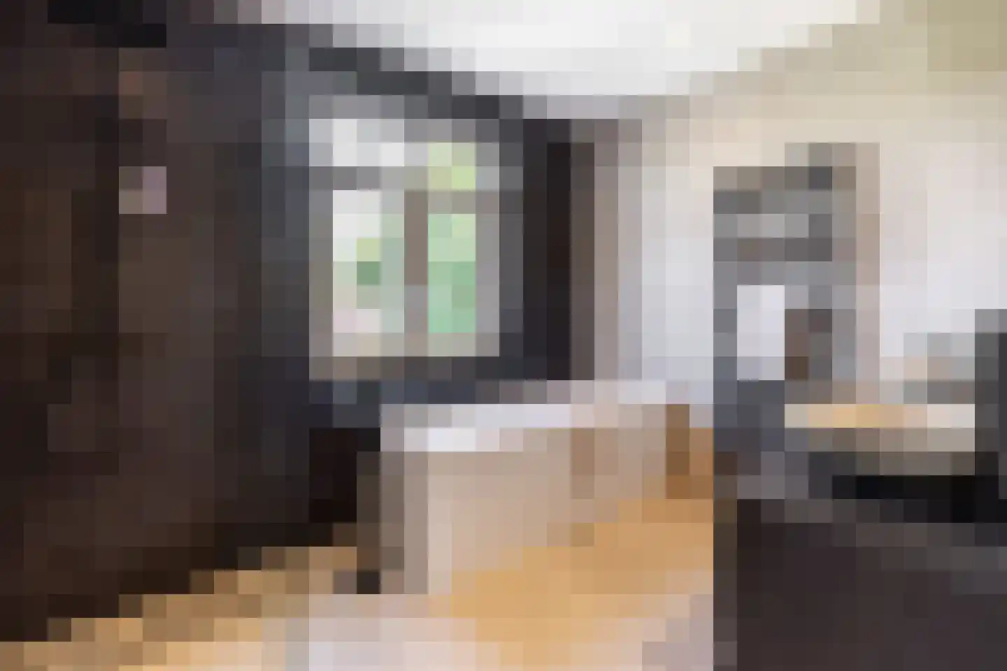 Vissenbergdreef 7 A Sprundel thumbnail 22