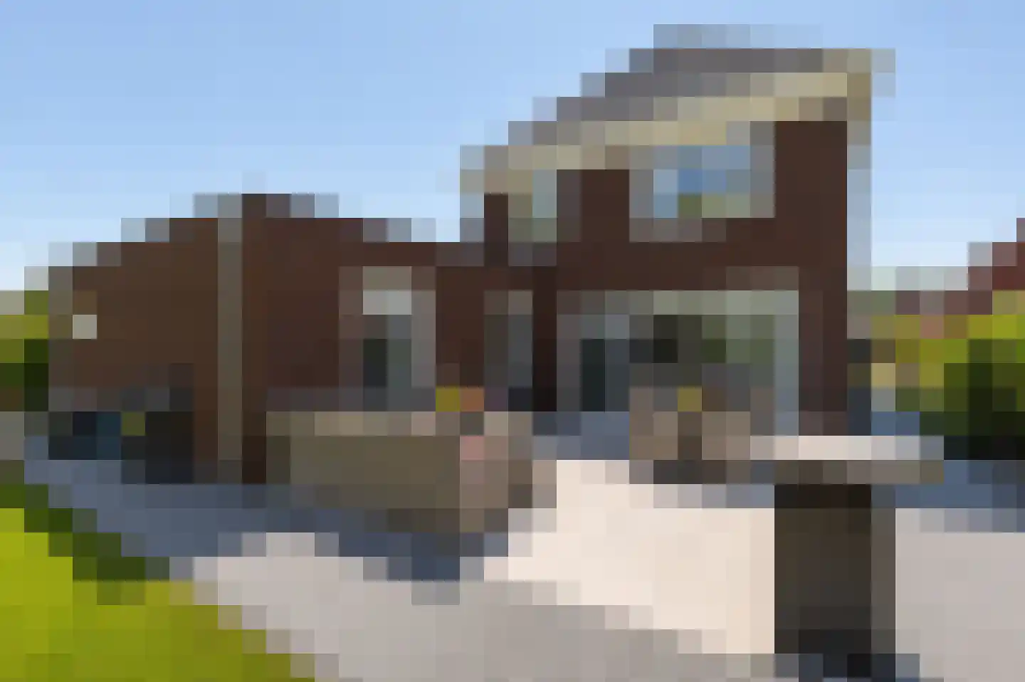 Vissenbergdreef 7 A Sprundel thumbnail 27