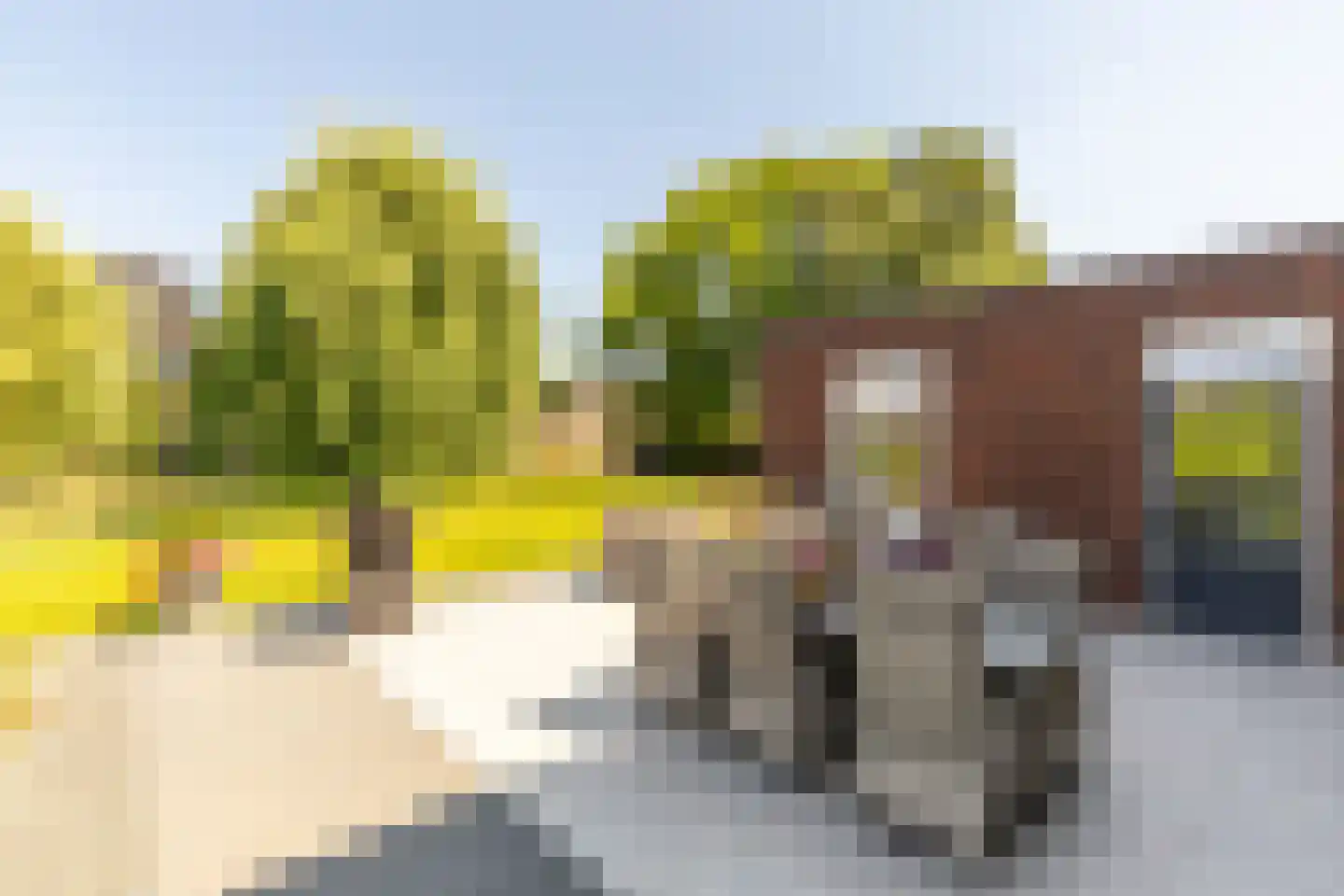 Vissenbergdreef 7 A Sprundel thumbnail 28