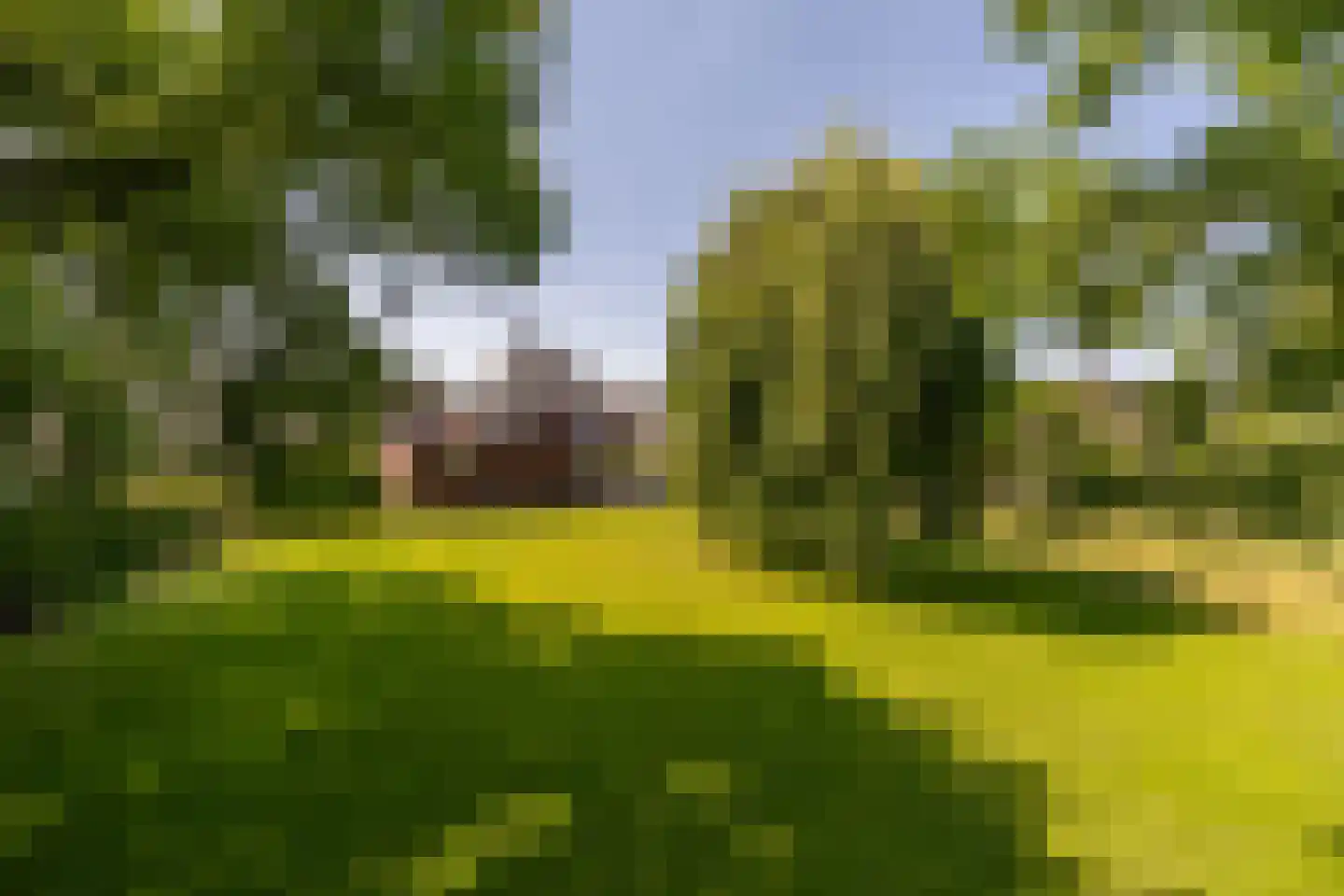 Vissenbergdreef 7 A Sprundel thumbnail 30