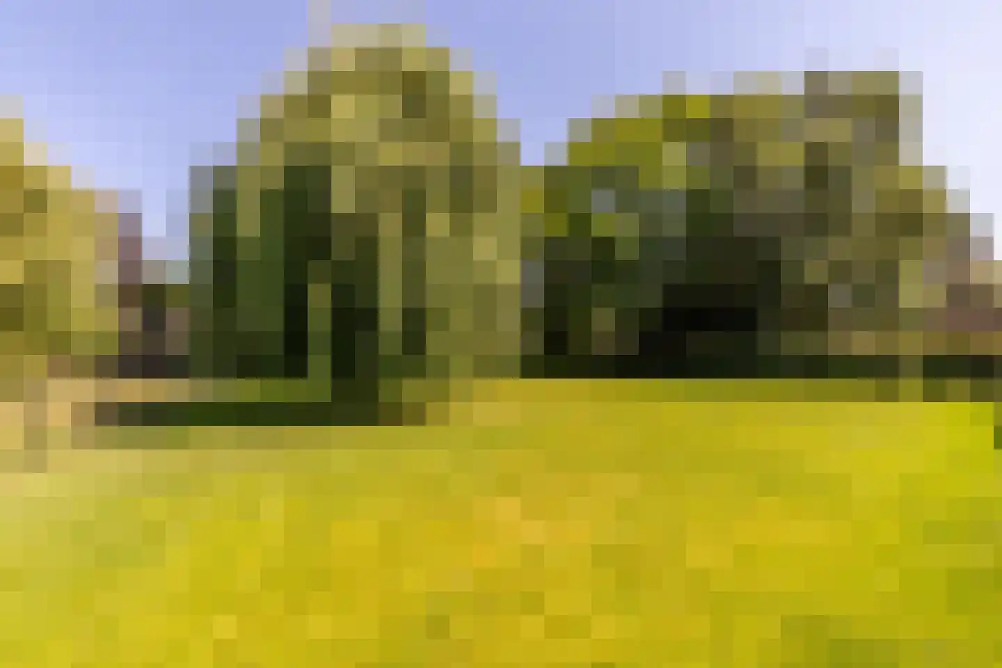 Vissenbergdreef 7 A Sprundel thumbnail 32