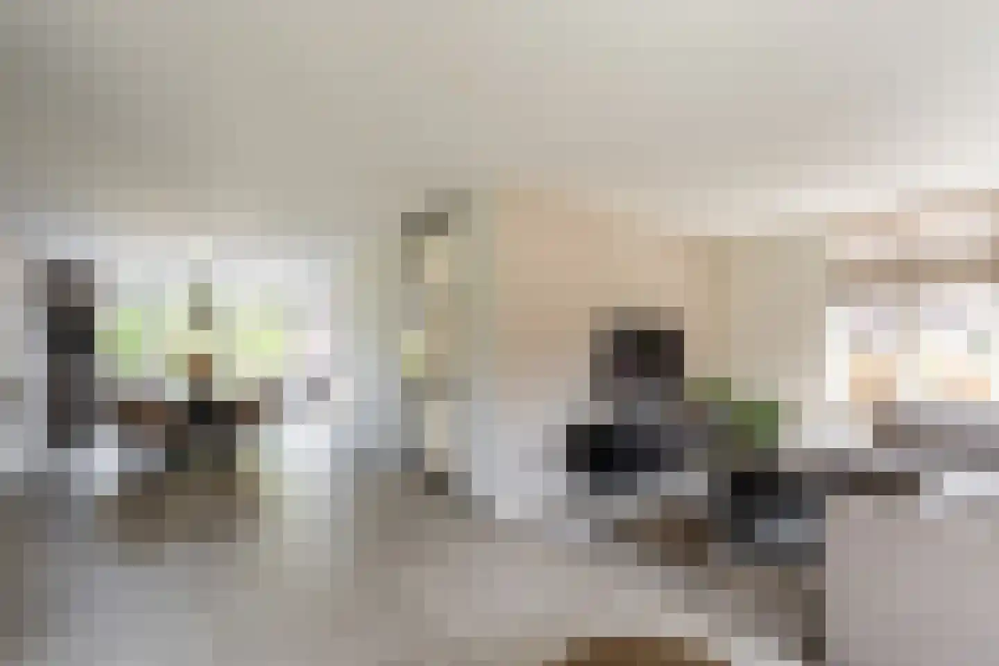 Vissenbergdreef 7 A Sprundel thumbnail 6