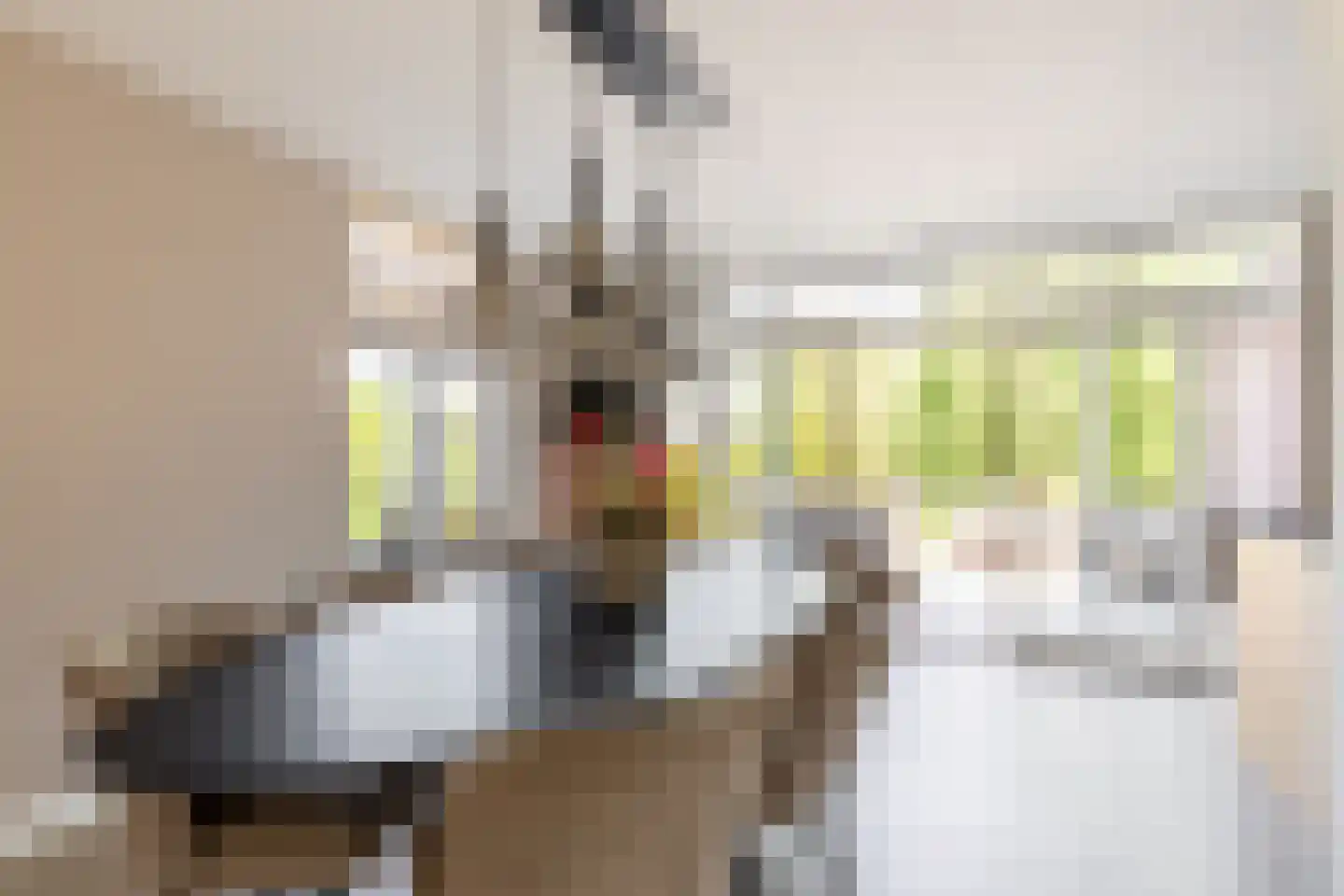 Vissenbergdreef 7 A Sprundel thumbnail 9