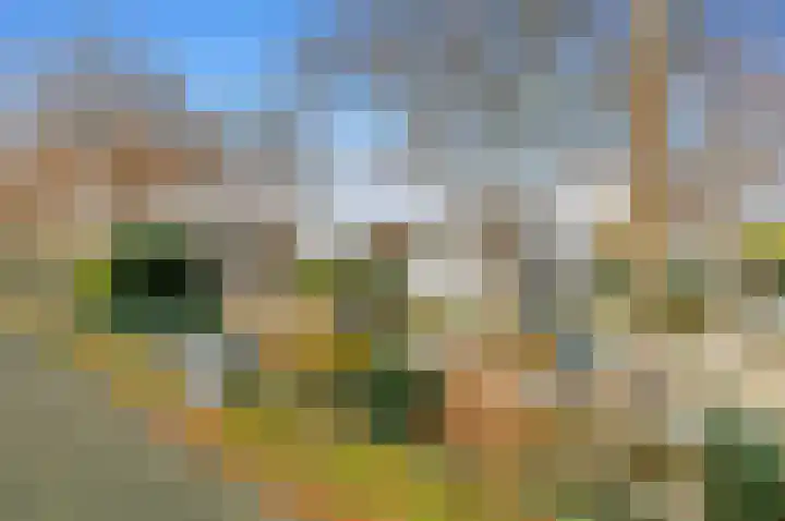 Vissendreef 73 Zoetermeer thumbnail 21