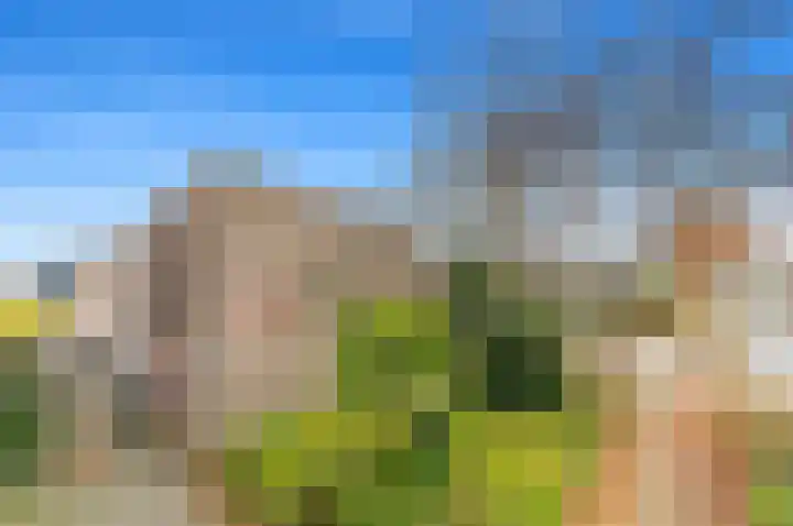 Vissendreef 73 Zoetermeer thumbnail 23
