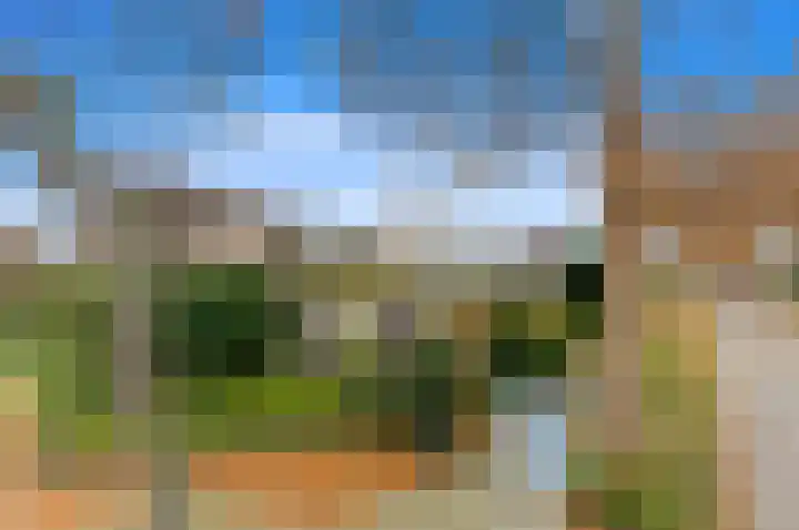 Vissendreef 73 Zoetermeer thumbnail 24