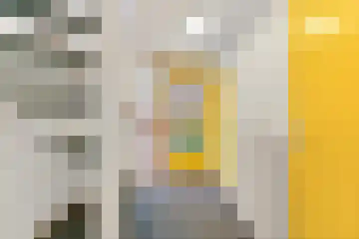 Vissendreef 73 Zoetermeer thumbnail 6