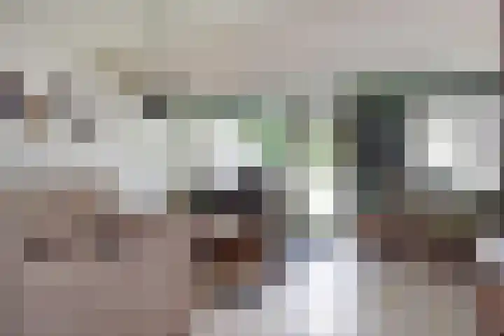 Vissendreef 77 Zoetermeer thumbnail 10