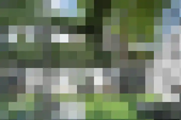 Vissendreef 77 Zoetermeer thumbnail 11