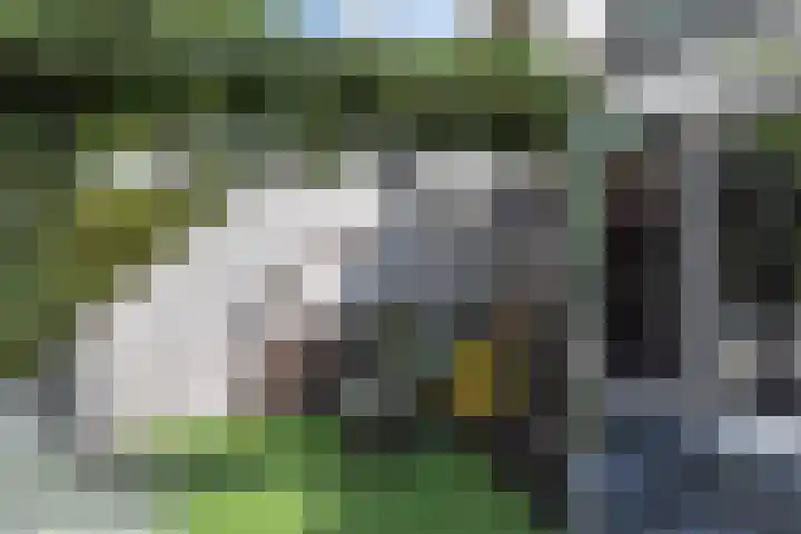 Vissendreef 77 Zoetermeer thumbnail 12