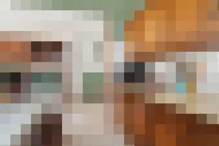 Vissendreef 77 Zoetermeer thumbnail 16
