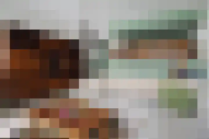 Vissendreef 77 Zoetermeer thumbnail 17