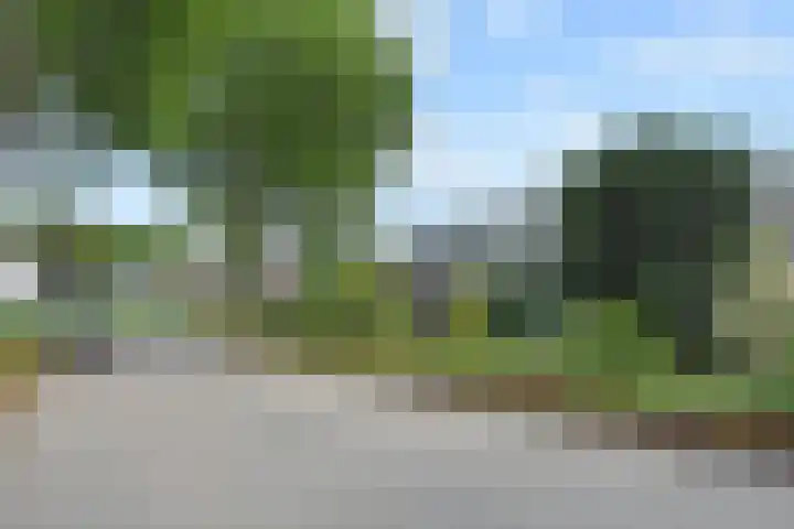 Vissendreef 77 Zoetermeer thumbnail 28