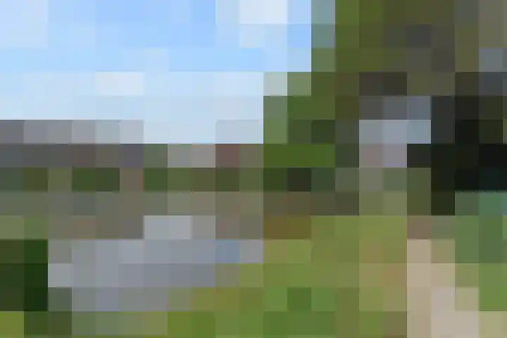 Vissendreef 77 Zoetermeer thumbnail 29