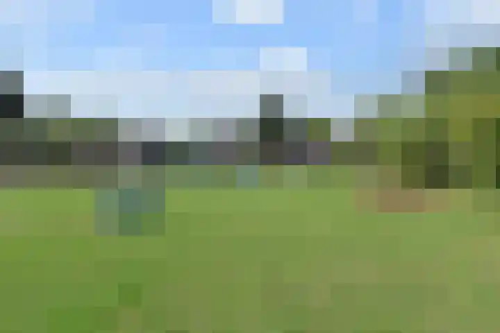 Vissendreef 77 Zoetermeer thumbnail 31