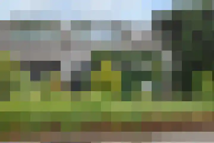 Vissendreef 77 Zoetermeer thumbnail 36