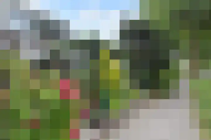 Vissendreef 77 Zoetermeer thumbnail 4