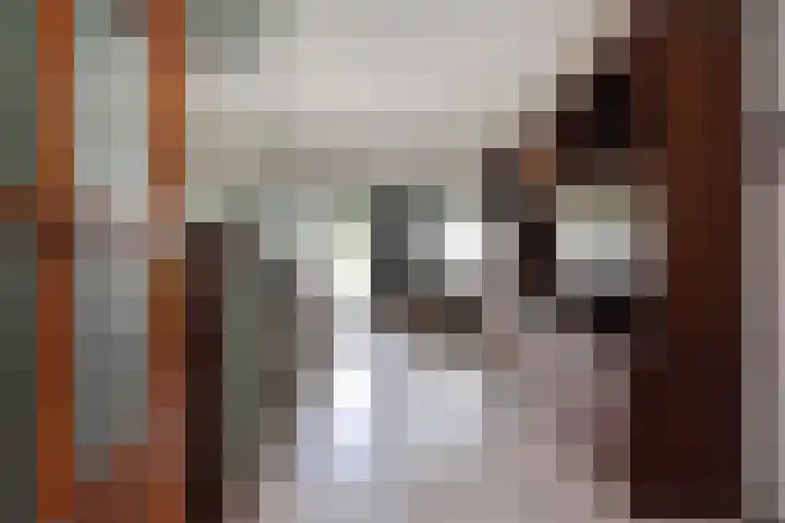 Vissendreef 77 Zoetermeer thumbnail 7