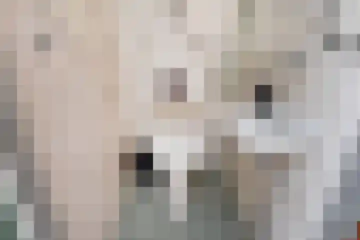 Vissendreef 77 Zoetermeer thumbnail 8